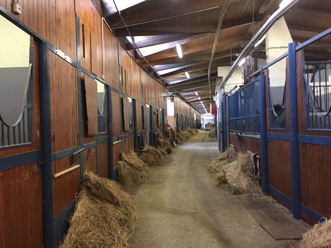 A boarding facility with individual, private stalls